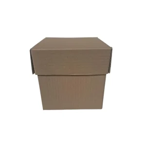 Caja con Tapa